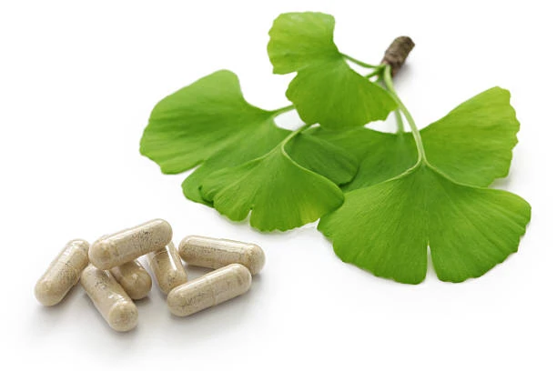 Ginkgo Biloba Extract Capsules Ginkgo Biloba Extract Capsules